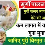 ec poultry farm