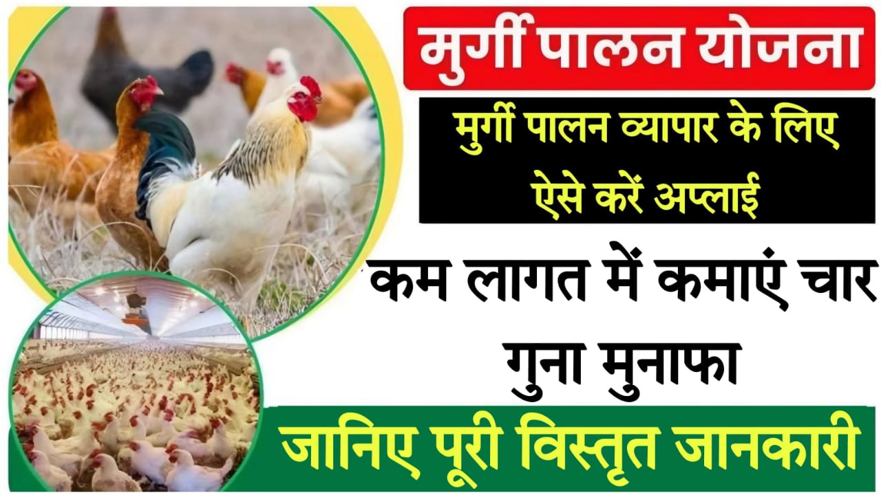 ec poultry farm