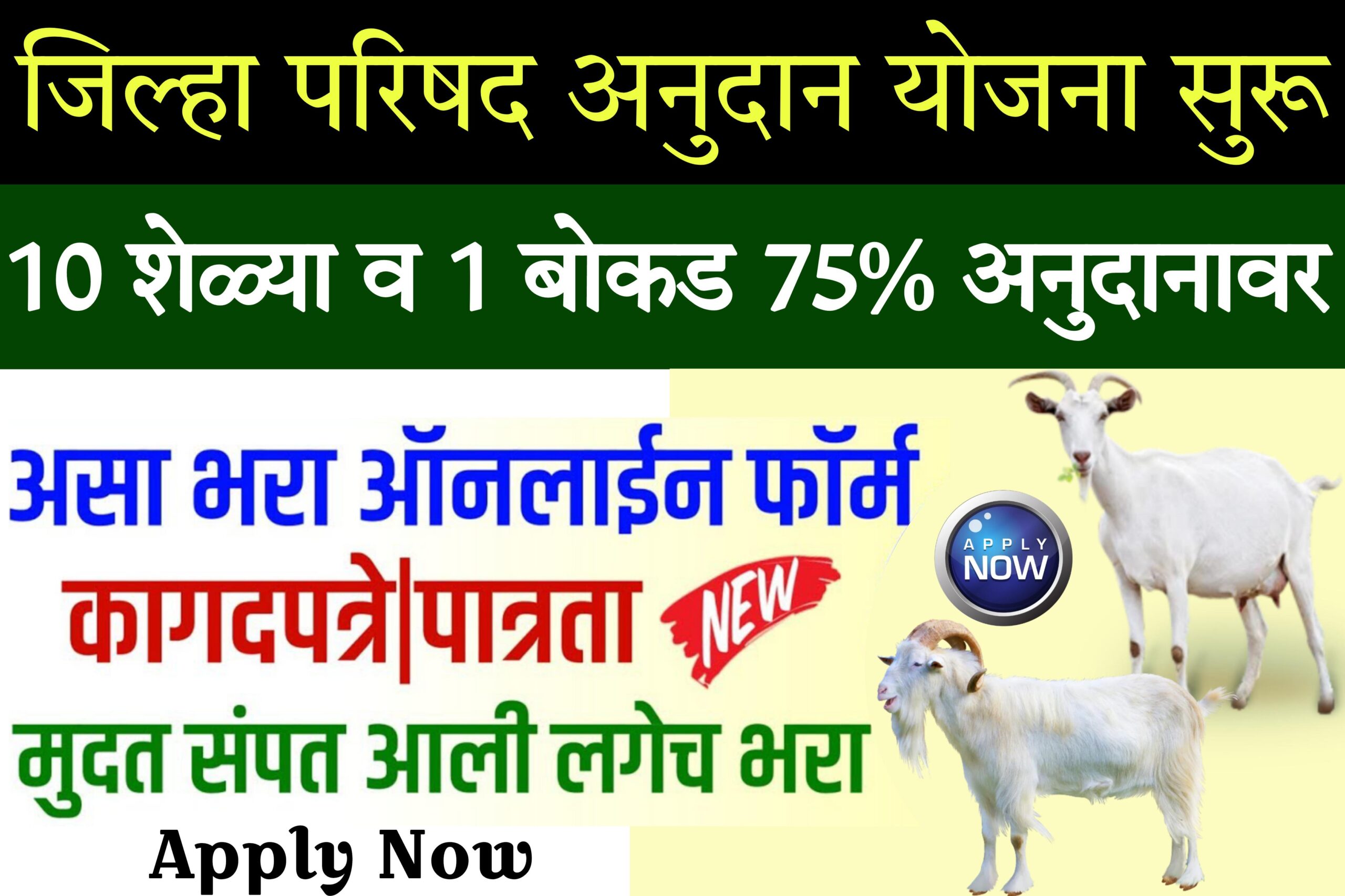 pashupalan ke liye loan शेळी-मेंढीपालन योजना मंजुरी; सरकार देणार येवढं अनुदान 2024